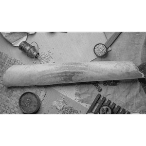 Paper Plain Dosa