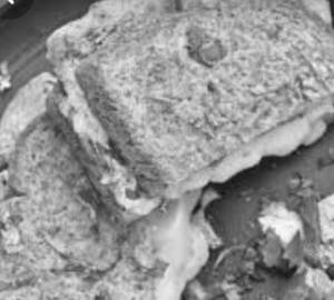 Multigrain Masala Egg French Toast