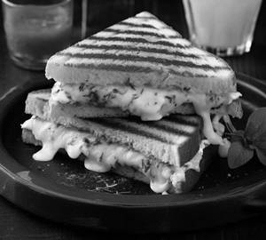 Cheese Sandwitch