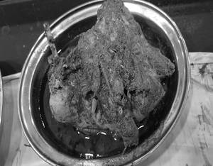 Nattu Kozhi Masala