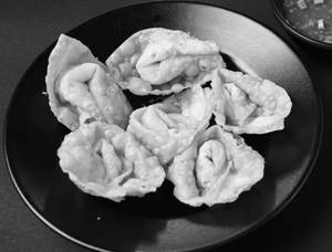 Crispy Chicken Wontons