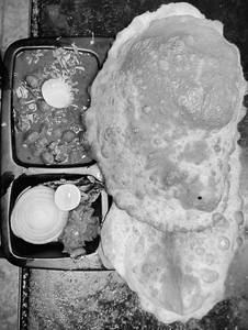 Chole Bhature