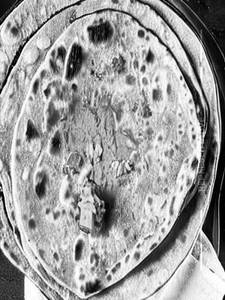 Tandoori Aloo Paratha