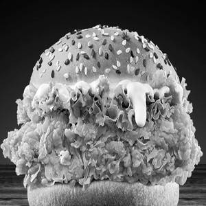 Chicken Zinger Burger
