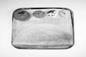 Ghee Plain Dosa (1pcs)
