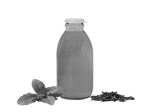 MINT KOMBUCHA