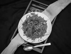 Chicken Schzewan Frieds Rice