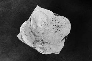 Plain Roti Full (4 Piece)