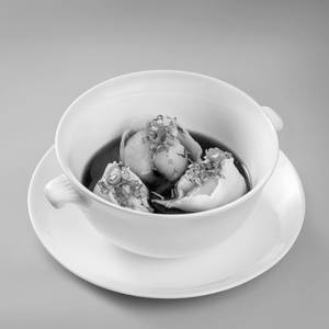 Poached Peking Dumpling