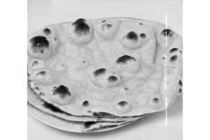 Butter Roti