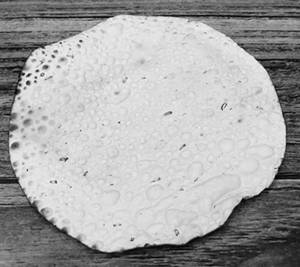 Rosted papad [1 pieces]