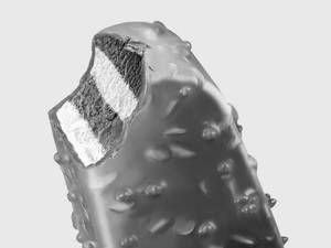 Hazelnut 65 Ml (2 Sticks Bar)