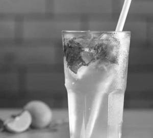 Mint Mojito[300Ml]