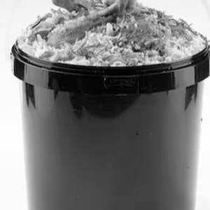 Pothu Bucket Dhum Biryani 6 Pax