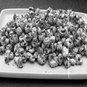 Crispy Corn
