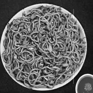 Schezwan Gobi Noodles