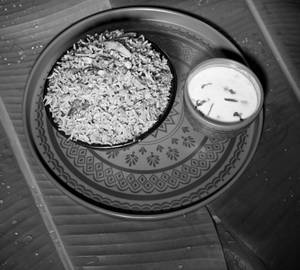 Pudina rice