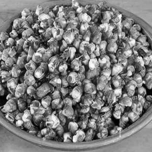 Crispy Corn