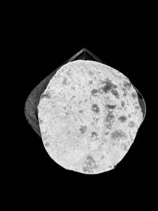 Roti