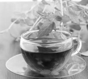 Mint tea