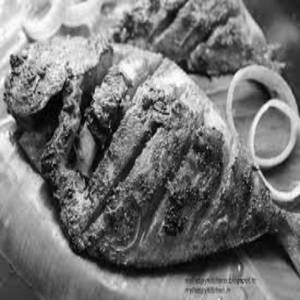 Pomfret Tawa Fry