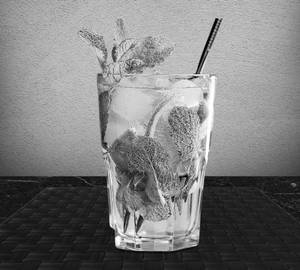 Virgin mint mojito