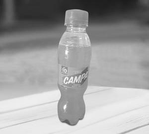 Campa