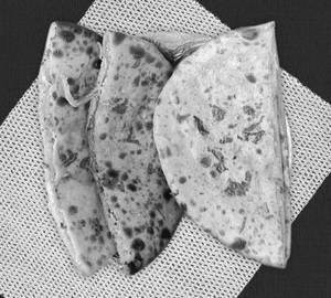 Gobi paratha