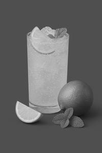 Mint Lime Mojito