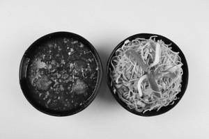 Rice Noodles Combo Veg
