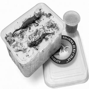 Dhokla(250gm)