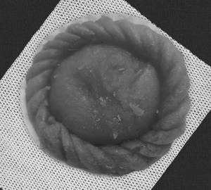 Chandrakala