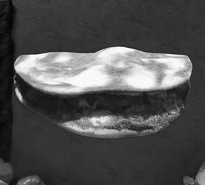 Shawarma Manakeesh
