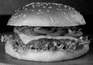 Lamb Single Decker Burger