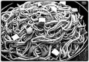 Paneer Noodles