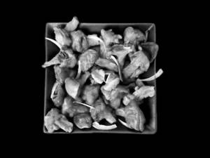 Mushroom 65