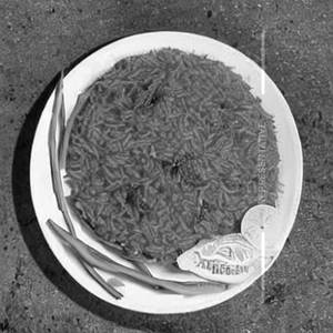 Tomato Rice