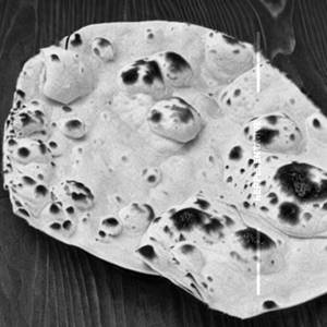 Roti