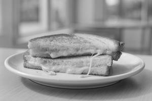 Cheese Grilled Sandwich