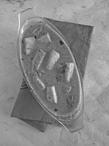 The Original 1920 Paneer Makhani