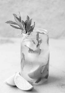 Virgin Mint Mojito