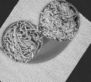 Chicken fried Rice with Chicken noodles combo