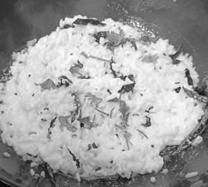 Curd Rice