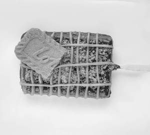 Biscoff Waffle [Mini]