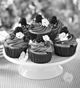 Blueberry cupcake