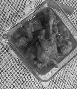 Chicken Dilruba