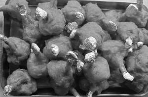 Chicken Lollipop