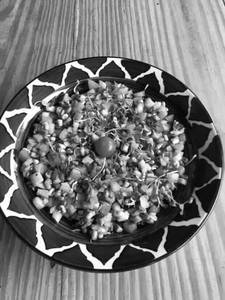 Lebanese Fattoush Salad With Hummus