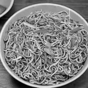 Chicken noodles