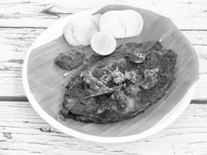 Anjal (Surmai) Fry